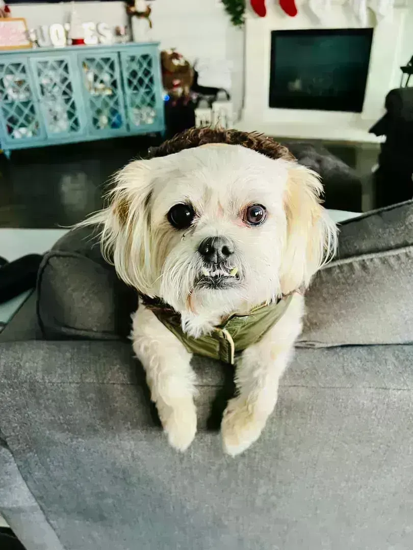 Scouty Jones suited up in his favorite jacket