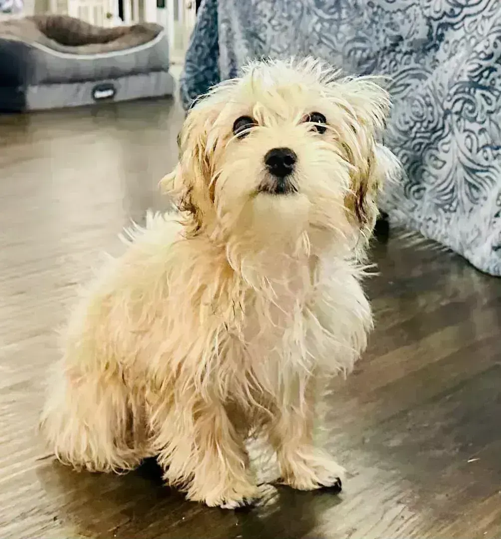 Stella Jones striking a pose for the camera